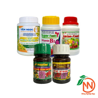 Combo Chăm Sóc Lan Cơ Bản - Giúp Cân Bằng Vô Cơ Và Hữu Cơ Cho Cây - NNDCB03