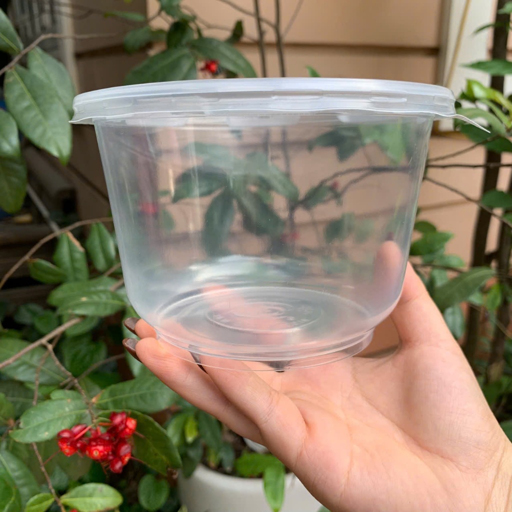 Set 25 HỘP bầu 1 lít, tô nhựa 1000ml có nắp đựng bún, phở, cháo...tiện lợi chắc chắn