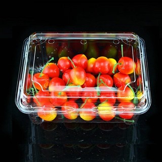 Lẻ hộp nhựa 1 lần đục lỗ thoáng khí Đựng Hoa Quả dựng thực phẩm chiên rán - hộp dâu tây 0.5KG ,1KG,1.5KG