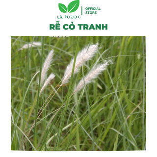 Rễ cỏ tranh khô thanh nhiệt lợi tiểu loại 1 thương hiệu Lá Ngọc