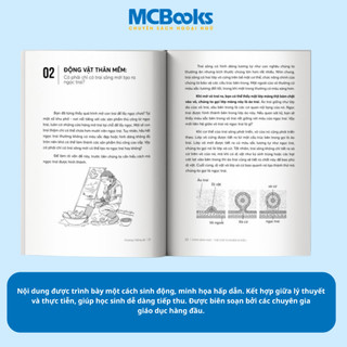 Sách - STEM Dành Cho Học Sinh - Phát Triển Tư Duy Logic, Khám Phá Khoa Học - MCBooks Chính Hãng