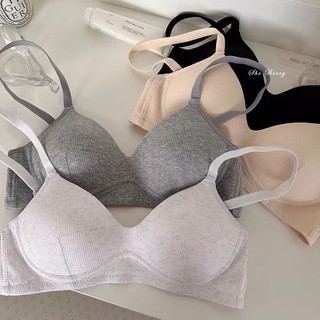 Áo lót nữ đệm mỏng , Áo ngực học sinh không gọng cotton gân tăm đệm mỏng sexy mềm mại A48