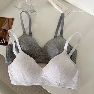 Áo lót nữ đệm mỏng , Áo ngực học sinh không gọng cotton gân tăm đệm mỏng sexy mềm mại A48