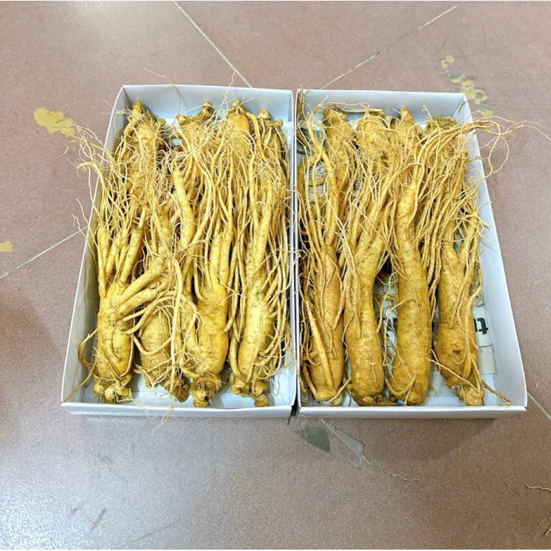 Nhân Sâm Tươi Hàn Quốc 1kg