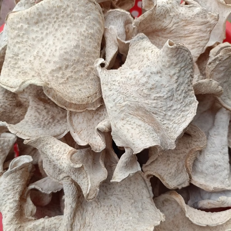 Củ Ráy Rừng Khô (Bạc Hà Núi) | Shopee Việt Nam