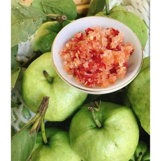 Bầu cây Ổi Nữ hoàng giòn ngọt ít hạt