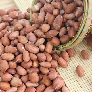 Đậu phộng sấy khô nguyên chất Túi zip hạt ding dưỡng ăn vặt béo bùi giàu đạm