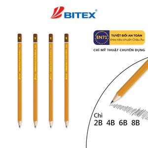 Hộp 12 Bút chì 2B/4B/6B/8B Bitex mỹ thuật chuyên dụng