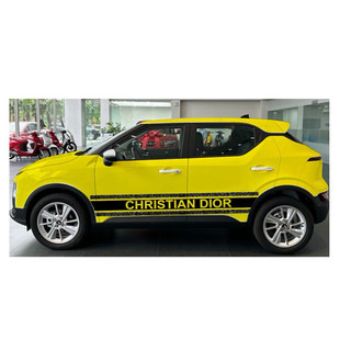 Tem 2 bên sườn Xe Oto  Vf5 ,team decal ô tô Dio