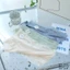 Quần Lót Nữ Su Lụa Băng Viền Ren Kháng Khuẩn Co Giãn Mềm Mại Không Đường May – Helen Shop