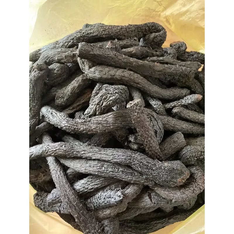 Nhục Thung Dung Khô, Đẹp Dùng Để Ngâm Rượu Giúp Bổ Thận, Tráng Dương, Tăng Cường Sinh Lý
