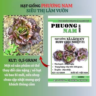 0,5 Gr - Hạt Giống Xà Lách Đỏ Icy Ruby Phương Nam