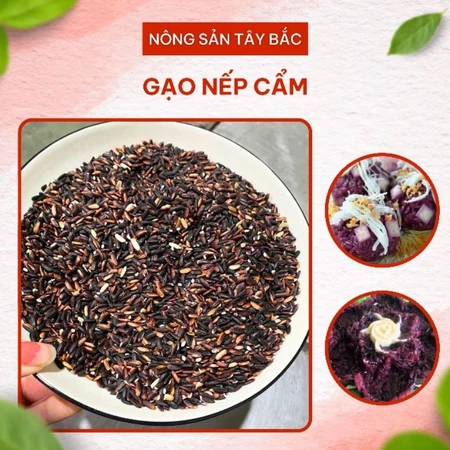 Gạo Nếp Cẩm (Nếp Than) Gạo Nếp Cẩm Dẻo Thơm Tự Nhiên Nếp Cẩm Nấu Xôi Sữa Chua Thơm Ngon Bổ Dưỡng