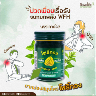 [CHÍNH HÃNG] Dầu Cù Là Lá Bồ Đề Thái Lan 8gr/15gr/50gr - SHOP DẦU DOKRAK