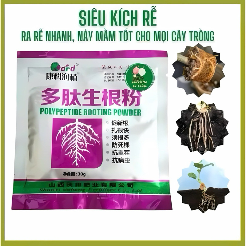 5 gói kích rễ trung quốc, kích rễ giâm cành cực mạnh Polypeptyde ...