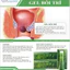 Gel giảm đau rát ngứa, bôi trĩ Hemocream