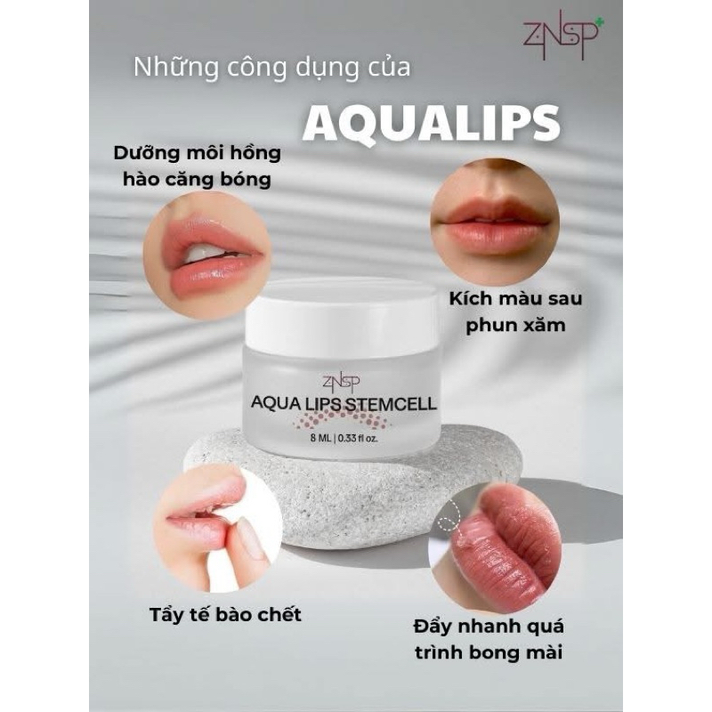 Dưỡng ZNSP AQUA LIPS STEMCELL dưỡng môi sau xăm, sử dụng trong phun xăm thẩm mỹ - H007