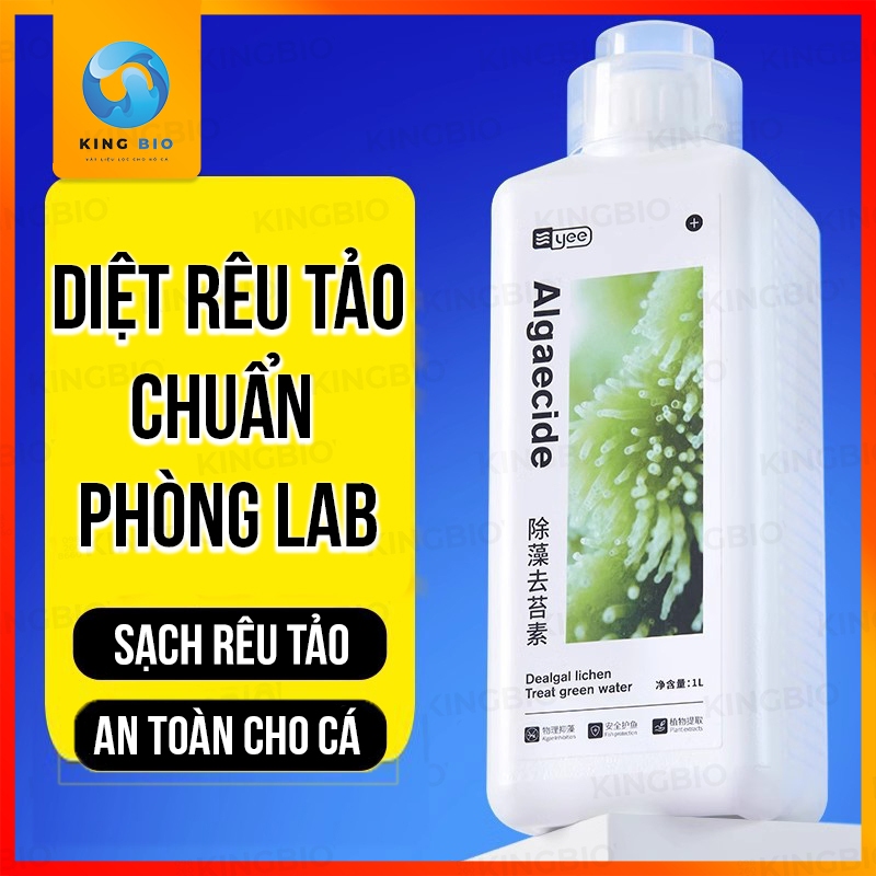 [King Bio] Chế phẩm sinh học diệt rêu tảo Yee Algaecide - diệt rêu tảo ...