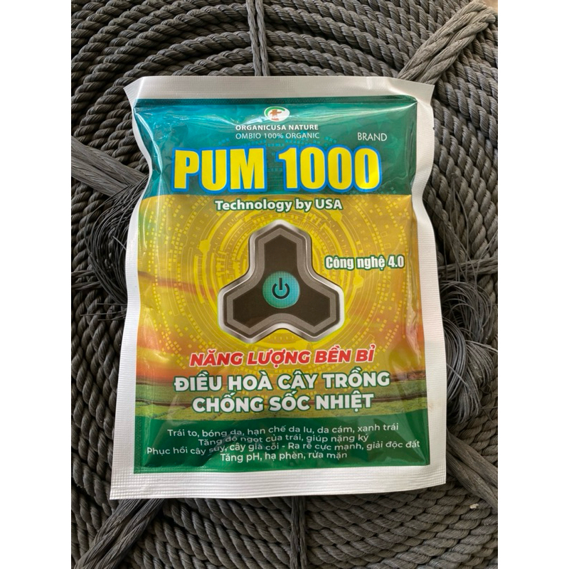 Pum 100 lớn trái, tẩy nám, xanh trai, giải độc  năng lượng cây trồng 250gr