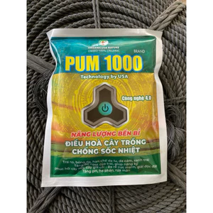 Pum 100 lớn trái, tẩy nám, xanh trai, giải độc năng lượng cây trồng 250gr