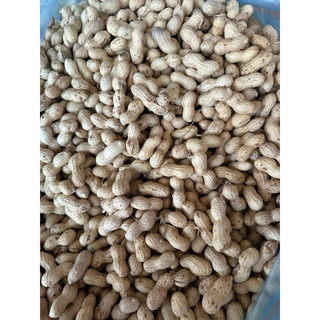 Lạc  Sen vỏ mỏng nguyên củ phơi nắng khô xuất xứ Tân Kỳ Nghệ An 1kg