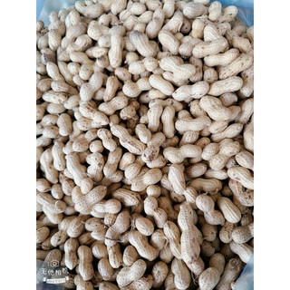 Lạc  Sen vỏ mỏng nguyên củ phơi nắng khô xuất xứ Tân Kỳ Nghệ An 1kg