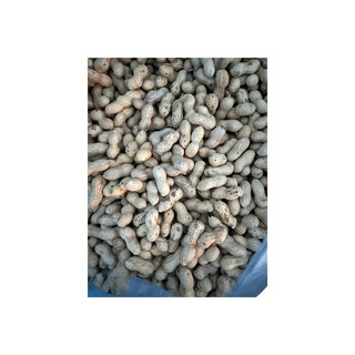 Lạc  Sen vỏ mỏng nguyên củ phơi nắng khô xuất xứ Tân Kỳ Nghệ An 1kg