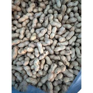 Lạc  Sen vỏ mỏng nguyên củ phơi nắng khô xuất xứ Tân Kỳ Nghệ An 1kg