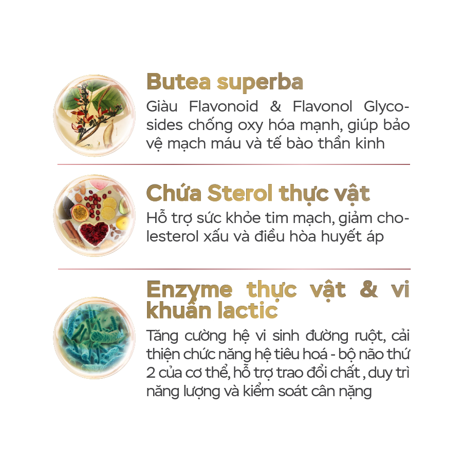 Viên Uống E-SPECIAL NATTO KINASE 6000FU Hỗ Trợ Tăng Cường Lưu Thông Máu 60 Viên [NHẬP KHẨU NHẬT BẢN]