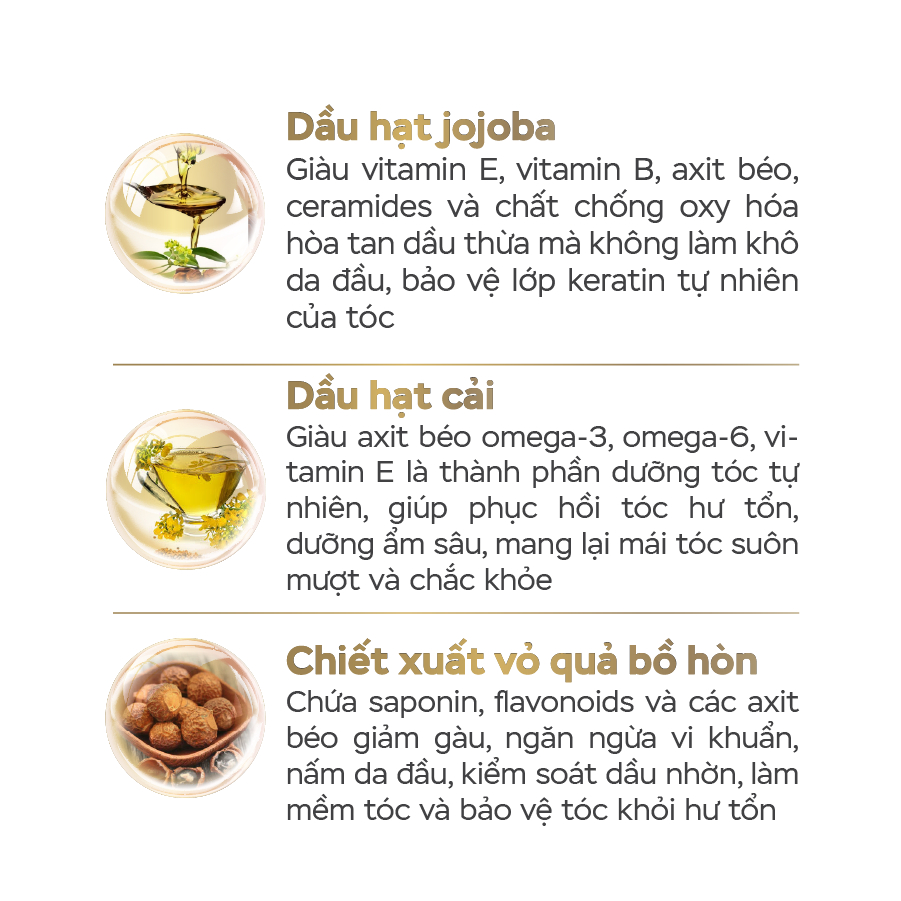 Dầu Xả Tế Bào Gốc E-SPECIAL EXO SCALP& HAIR MASK MD Hỗ Trợ Phục Hồi Nang Tóc Cung Cấp Dinh Dưỡng Cho Tóc 300ml