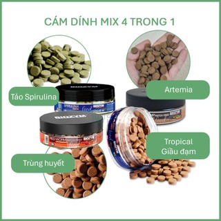 Cám Dán Mix 4 Trong 1 Biozym - Đổi Bữa Thả Ga, Không Lo Về Giá - Dùng Cho Cá Cảnh