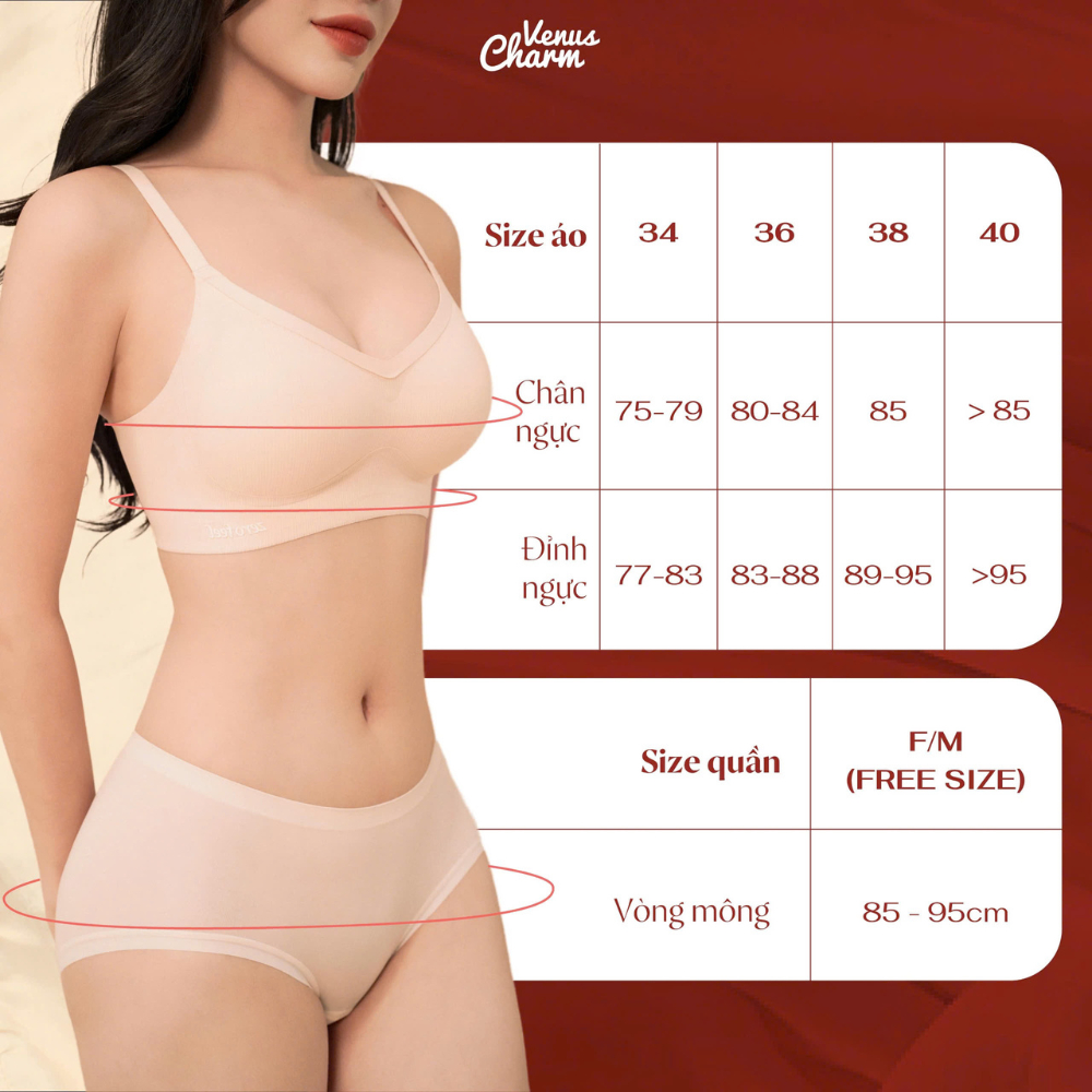 Ảnh Quần lót gen bụng không viền Venus Charm chất liệu cotton gỗ sồi mịn không đường may 08959 4