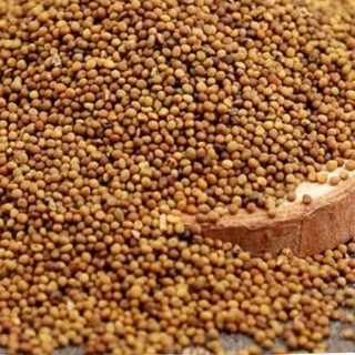 Thảo Dược Thỏ Ty Tử Khô Lá Ngọc Hỗ Trợ Sức Khỏe Toàn Diện Gói 1kg
