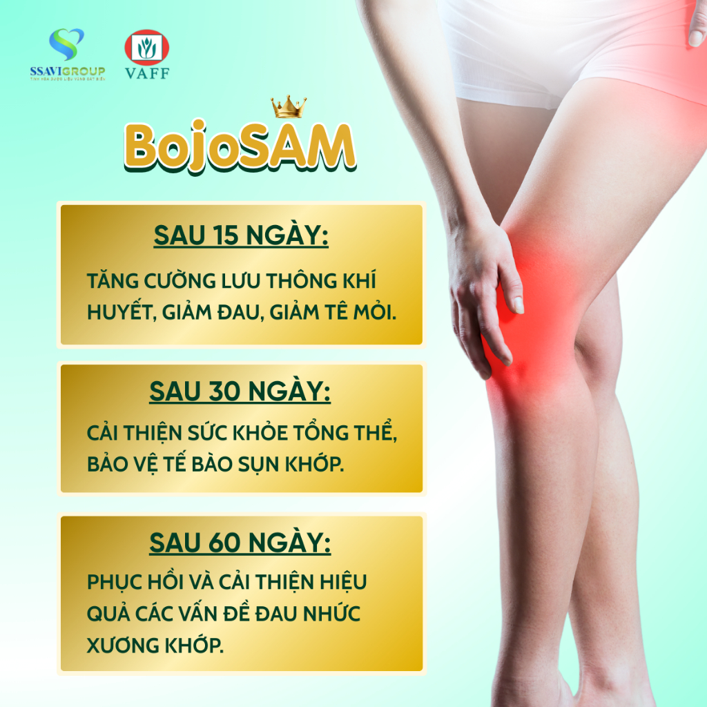 Viên uống xương khớp Bojosam, viên uống giảm đau xương khớp, bảo vệ sụn khớp, lưu thông khí huyết