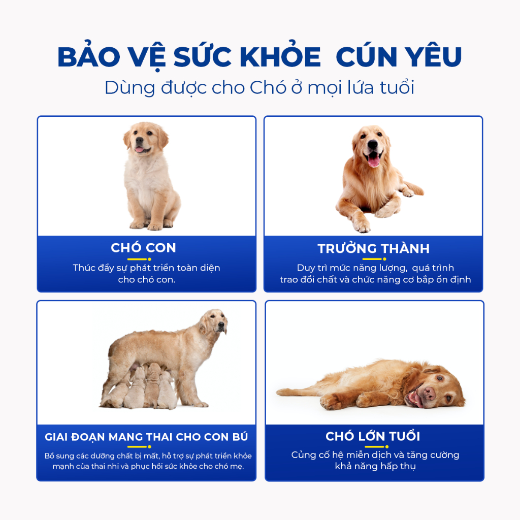 Vitamin Cho Chó DrVET Bổ Sung Dưỡng Chất, Tăng Đề Kháng-Multivitamin Tablets for Dogs with Lentinan