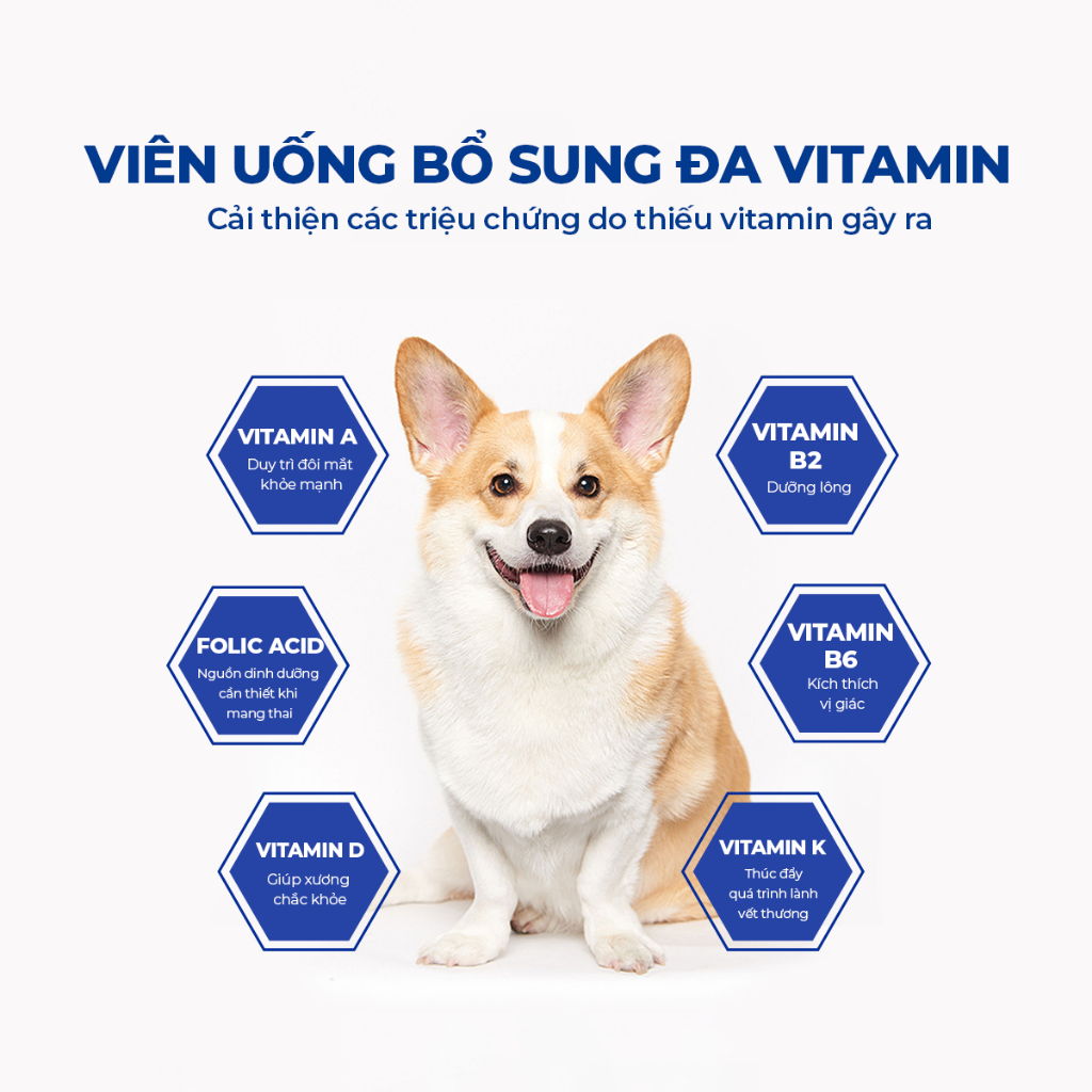 Vitamin Cho Chó DrVET Bổ Sung Dưỡng Chất, Tăng Đề Kháng-Multivitamin Tablets for Dogs with Lentinan