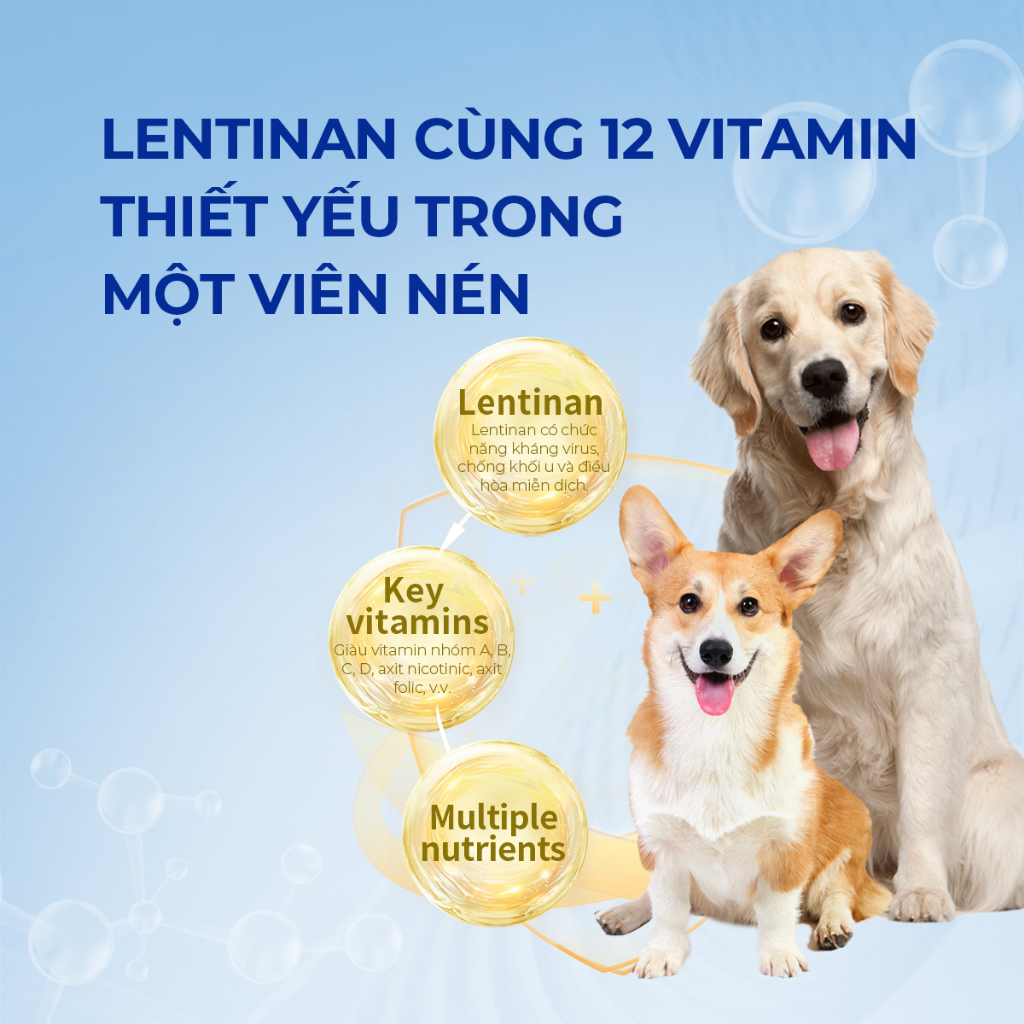 Vitamin Cho Chó DrVET Bổ Sung Dưỡng Chất, Tăng Đề Kháng-Multivitamin Tablets for Dogs with Lentinan