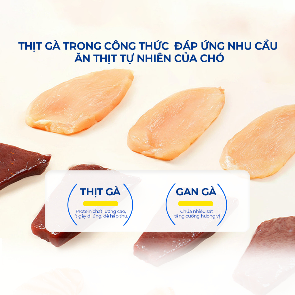 Vitamin Cho Chó DrVET Bổ Sung Dưỡng Chất, Tăng Đề Kháng-Multivitamin Tablets for Dogs with Lentinan