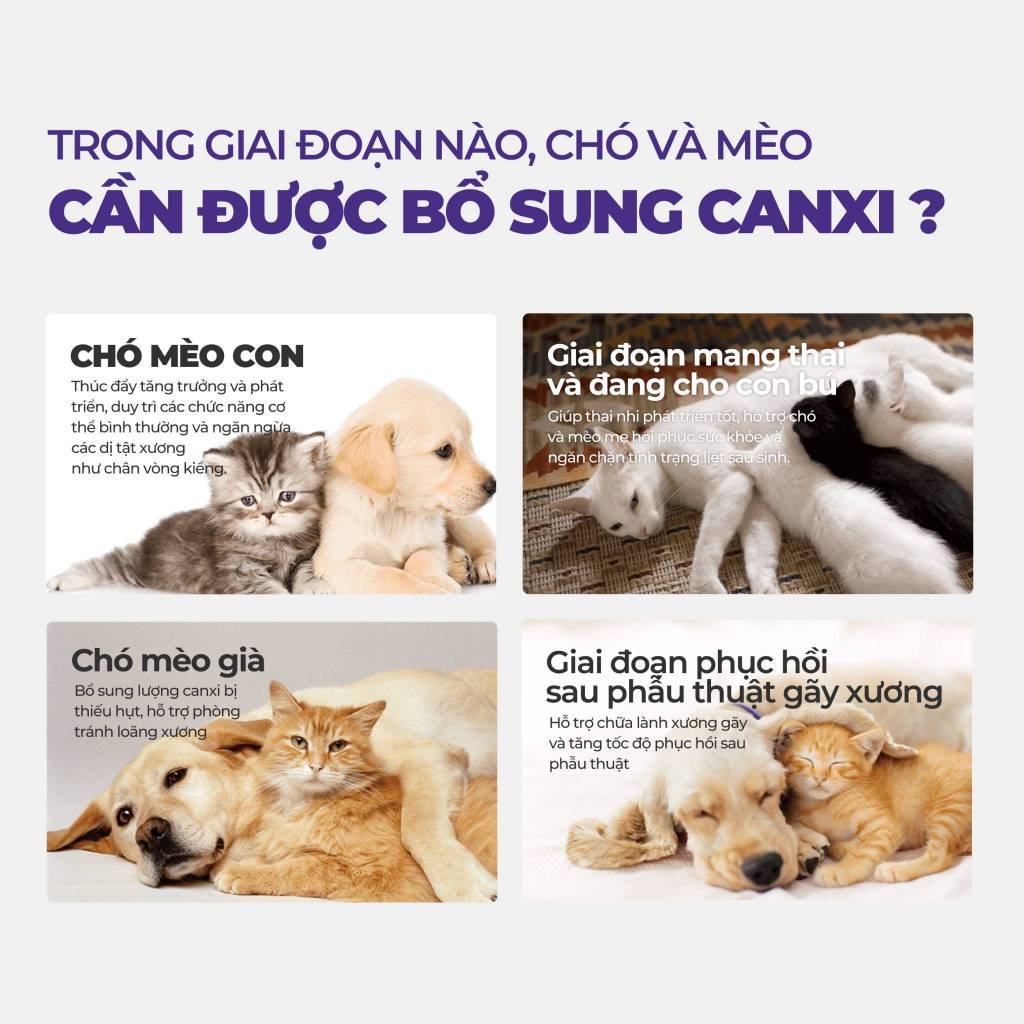 Viên Canxi Cho Chó Mèo DrVET Hỗ Trợ Xương Khớp Chắc Khỏe - Pet Calcium Tablets
