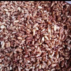 Gạo Lứt Sấy Nguyên Vị Không Rong Biển đóng xá 5 kg