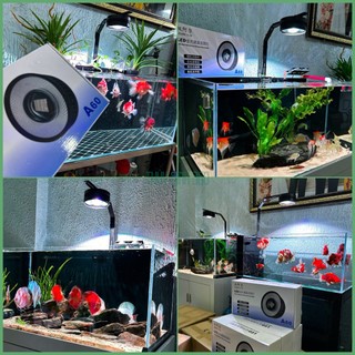 Đèn Lon Rọi A60 - Đánh Mầu Đẹp - Hiệu Ứng Nước Trong Trẻo
