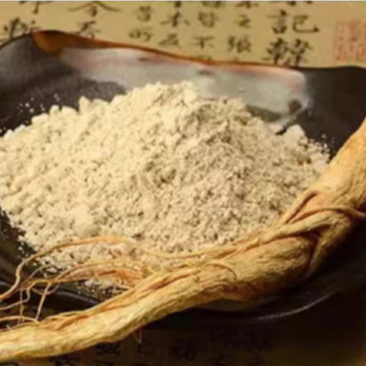 Nhân Sâm Khô Núi Cát Lâm - Thảo Dược Quý Cho Cuộc Sống, Bổ Khí, Dưỡng Nhan, Tăng Cường Sức Khỏe - Quà Biếu Đẳng Cấp