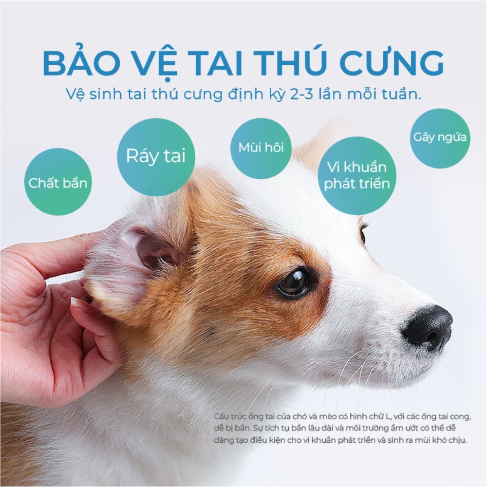 Dung Dịch Vệ Sinh Tai Cho Chó Mèo DrVET Làm Sạch Tai, Ngăn Ngừa Viêm Tai - Pet Ear Cleaner