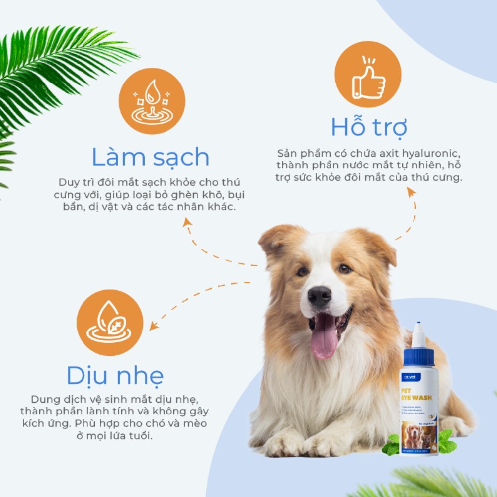 Dung Dịch Vệ Sinh Mắt Cho Chó Mèo DrVET Kháng Khuẩn, Dịu Nhẹ - Pet Eye Wash