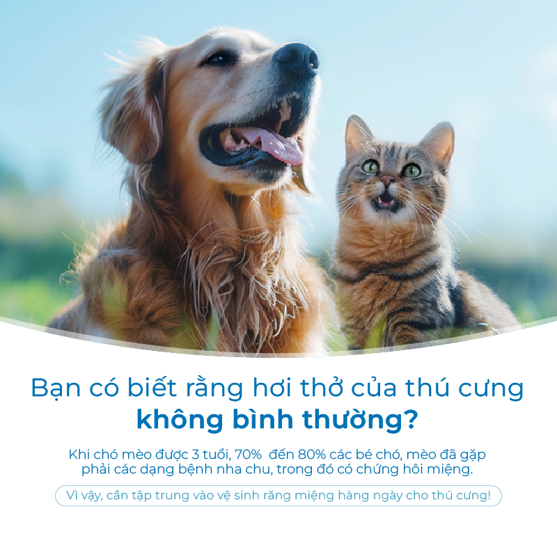 Nước Vệ Sinh Răng Miệng Cho Chó Mèo DrVET Giúp Hơi Thở Thơm Mát - Pet Dental Care Water Additive