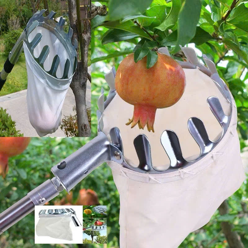 Dụng cụ hái trái cây bằng kim loại chắc chắn – Giúp tiết kiệm thời gian thu hoạch hiệu quả