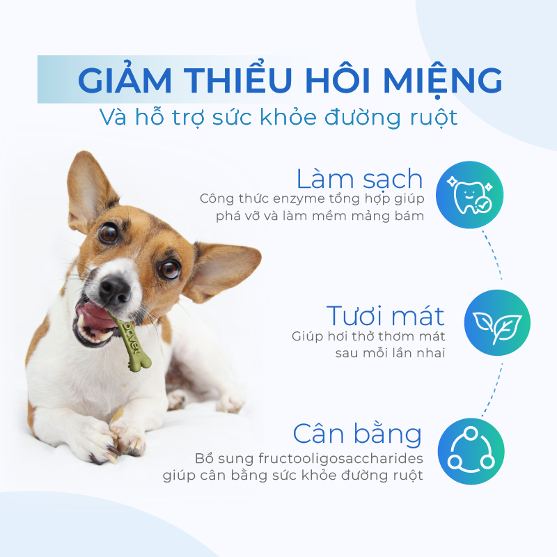 Xương Gặm Vệ Sinh Răng Miệng Cho Chó DrVET Giúp Giảm Cao Răng, Sạch Kẽ - Dental Chew (for dogs)