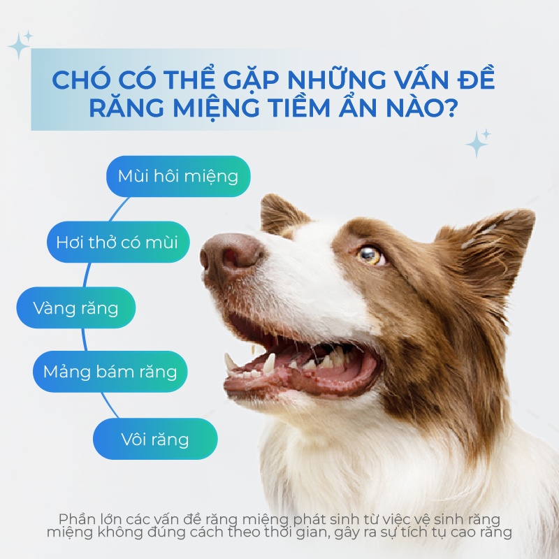 Xương Gặm Vệ Sinh Răng Miệng Cho Chó DrVET Giúp Giảm Cao Răng, Sạch Kẽ - Dental Chew (for dogs)