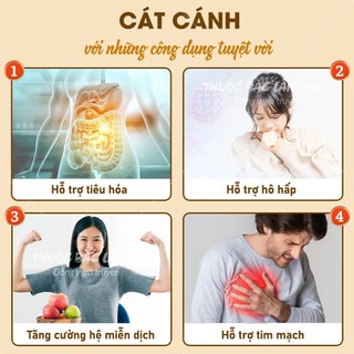 Cát cánh khô 100g, củ cát cánh nguyên củ, giúp giảm ho, tiêu đờm, bổ phế, tốt cho hệ hô hấp