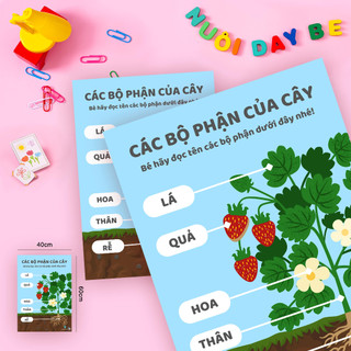 Tranh poster khoa học, ngôn ngữ,Nhận thức đâu đời cho bé-Độc quyền từ Nuoidaybe